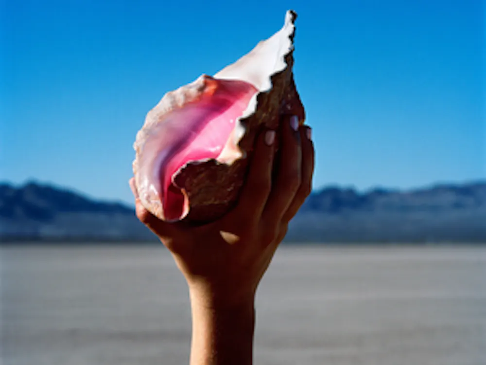 After five years without any music, fans were promised something better from The Killers. Sadly, they did not deliver.