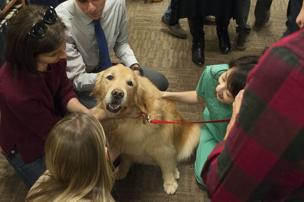 During the Medical School's Caring Break, students interacted with dogs in the Claude Moore Health Sciences Library, while gathering donations for the ASPCA.