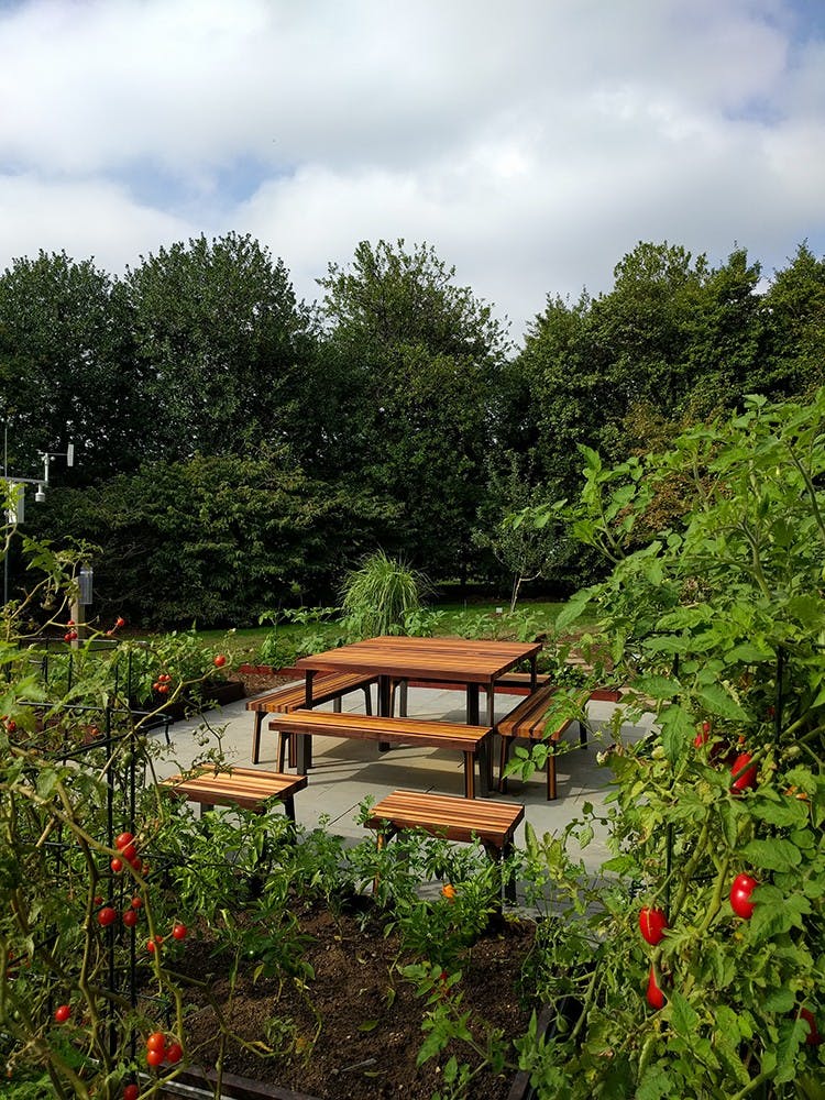 The design team created the White House Garden in First Lady Michelle Obama's vision for an outdoor sanctuary.&nbsp;