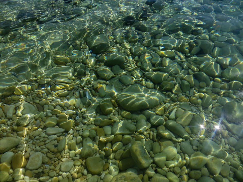 img-1770