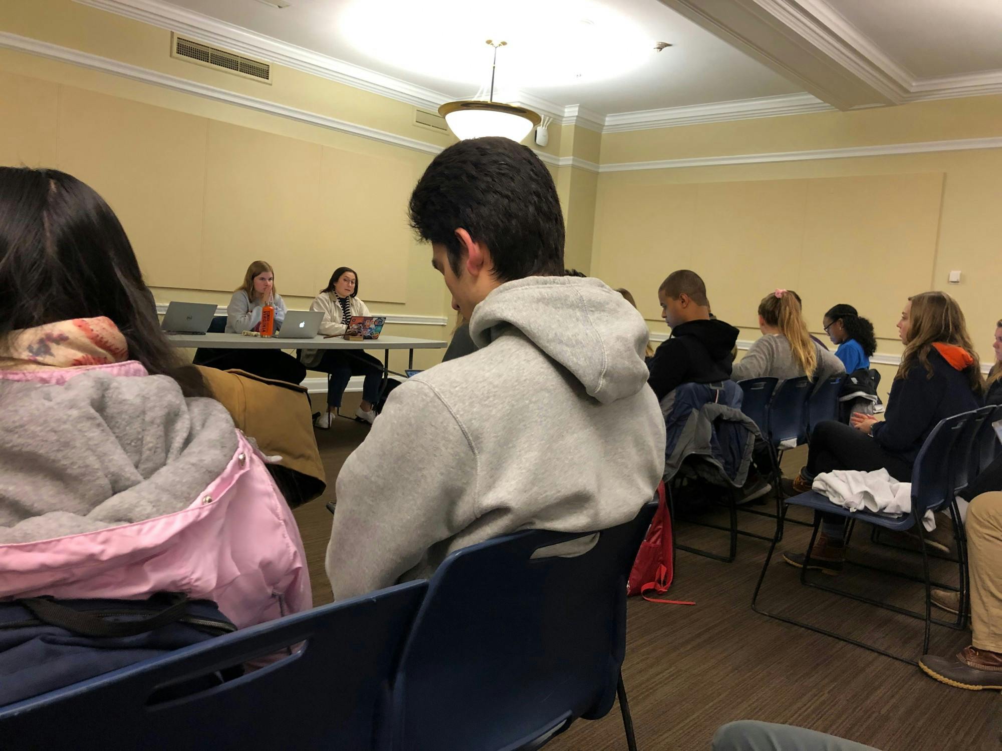 Student Council's resolution cannot sanction any physical action, but is useful in voicing support for the cause which can then lead to change.