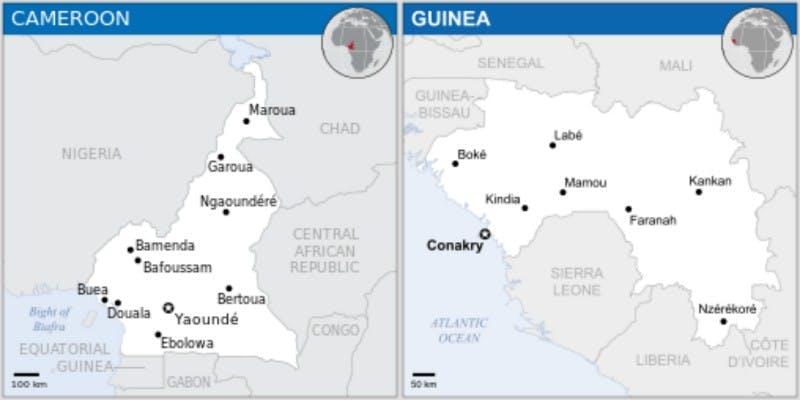 Boum helped coordinate the initial&nbsp;vaccine trials in Guinea, but also participated in follow-ups and&nbsp;did much of his outreach and nonprofit work in Cameroon.