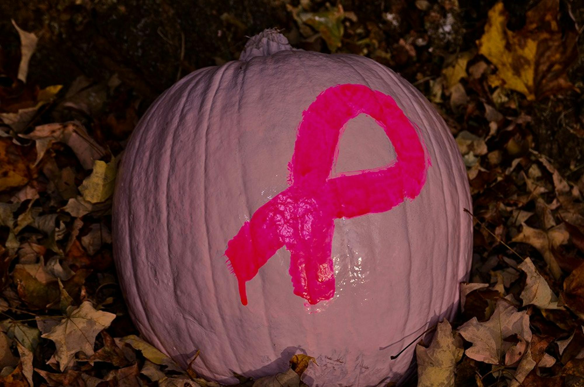 nspinkpumpkinelizabethpappas