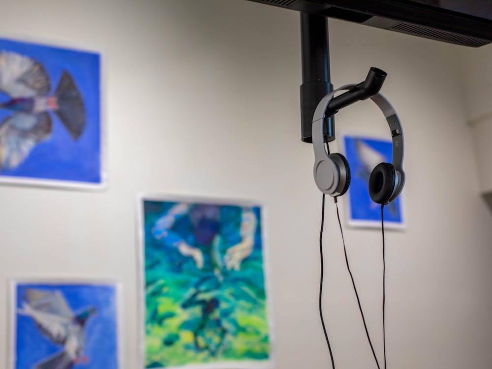 Murmuration is a word with two meanings — both the quiet utterance of a noise and the name for a flock of starlings. 