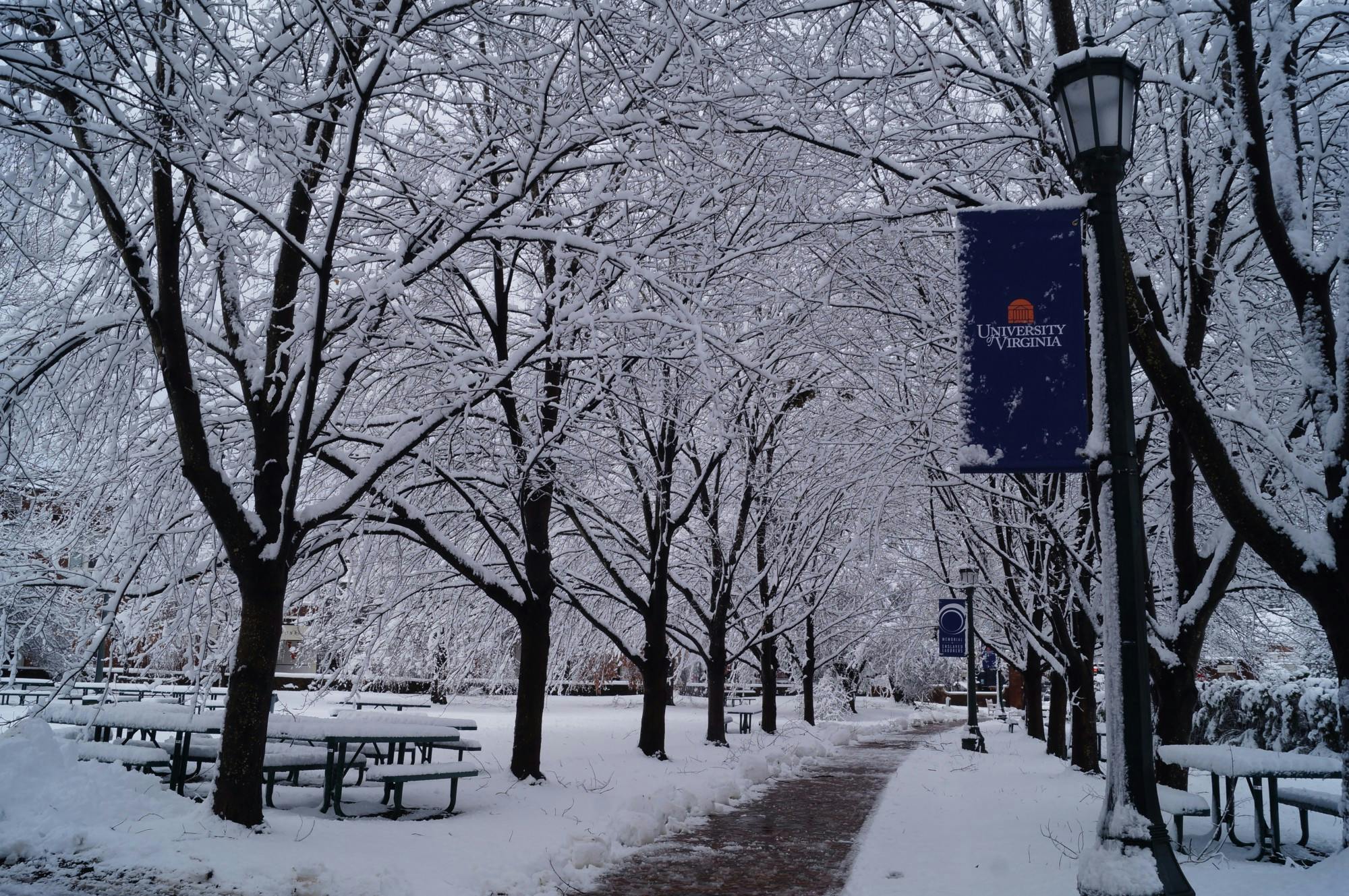 The winter storm Monday dropped over five inches of wet snow and rain onto Charlottesville and the surrounding counties, leaving thousands without power for over 24 hours.&nbsp;