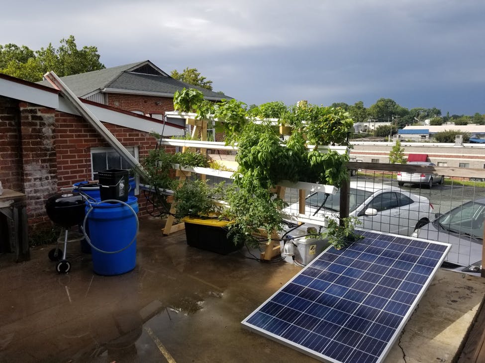 In hydroponic farming, plants are grown in nutrient-rich, water solvent mineral solutions rather than in soil.&nbsp;