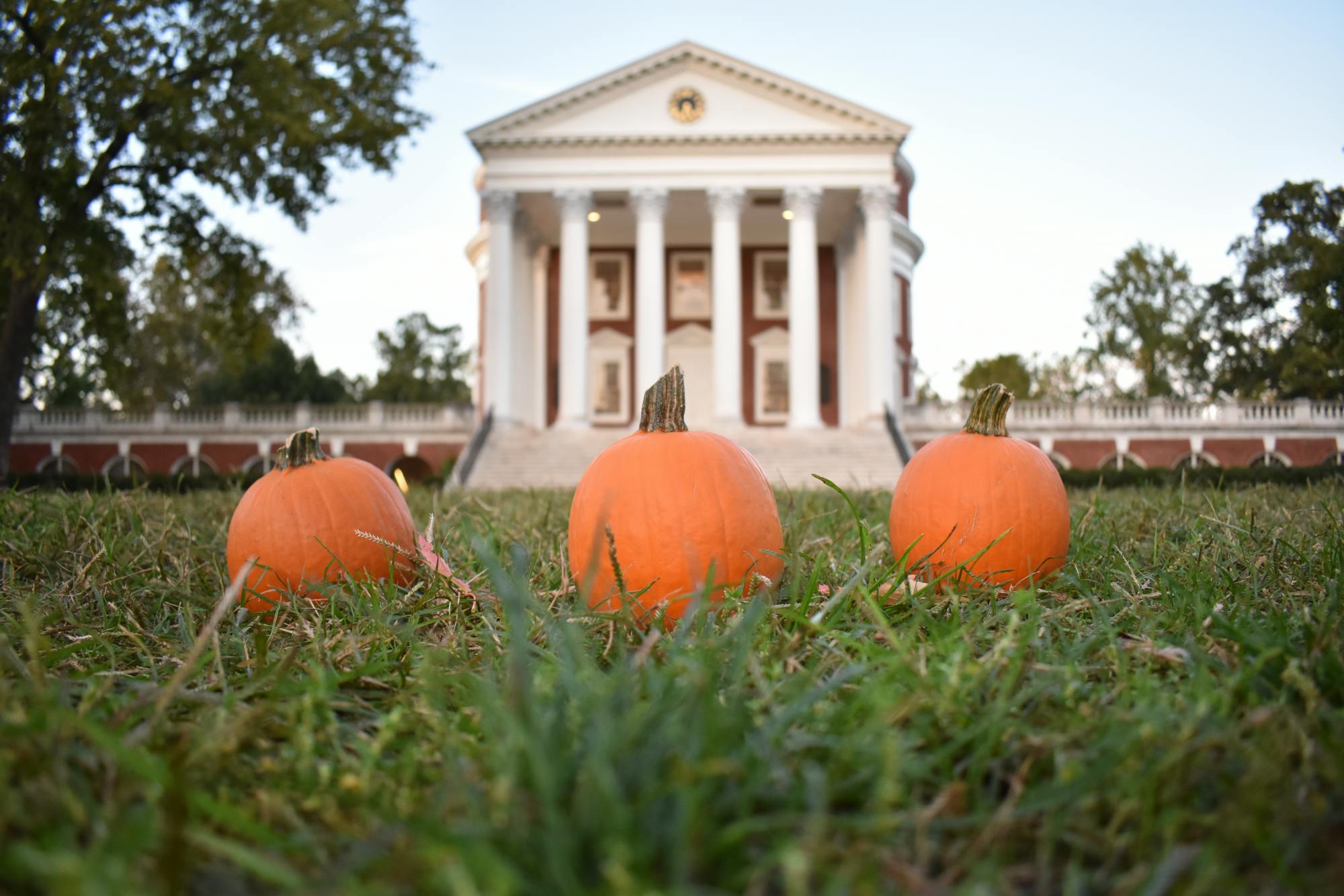 Spooky season is just around the corner.