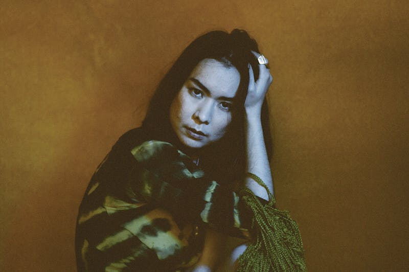 The Land is Inhospitable and So Are We' Review: Mitski's Divine, American  Landscape, Arts