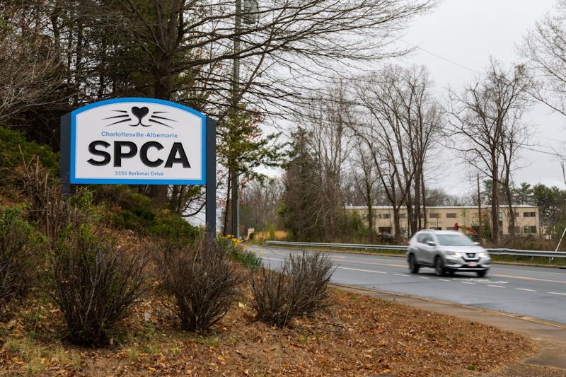 The CharlottesvilleAlbemarle SPCA Board hires Sue Friedman as Interim