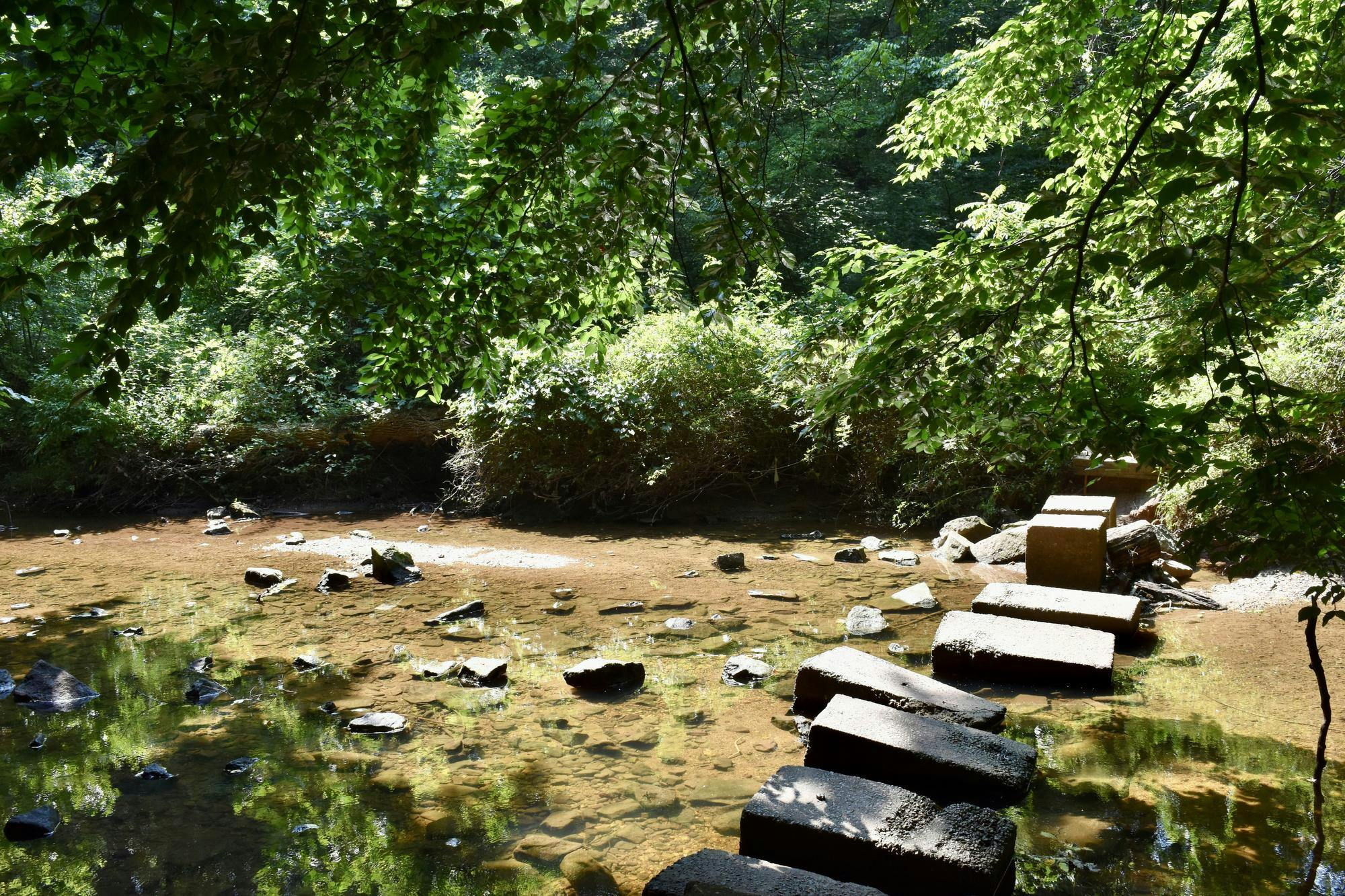 Editor’s Note: This gallery is part of a summer series from The Cavalier Daily photo desk staff. Over the course of the summer, photo staffers will craft galleries which capture moments from different places in Charlottesville and beyond.Hidden parks throughout Northern Virginia preserve the region’s natural beauty amid extensive development.&nbsp;