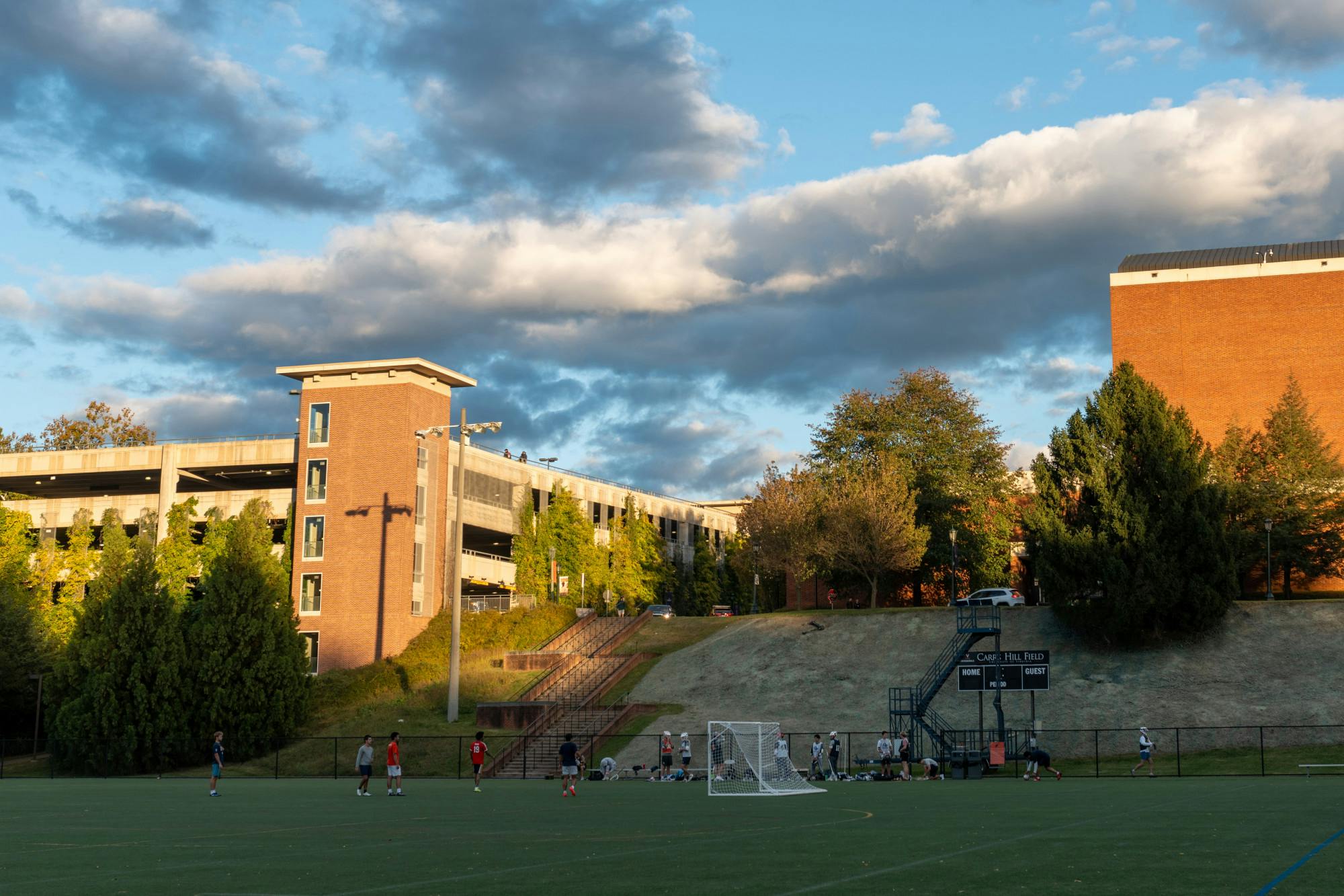 The new plants were selected to provide an ecosystem for local wildlife, offering food and shelter for various species. 
