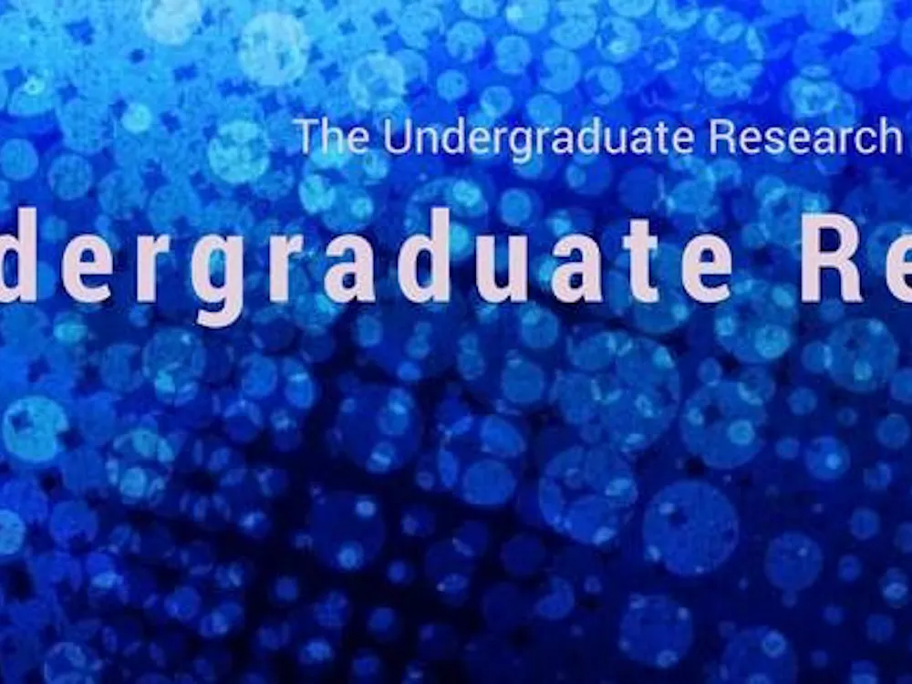 The research fair connected undergraduate students with research opportunities across the University.