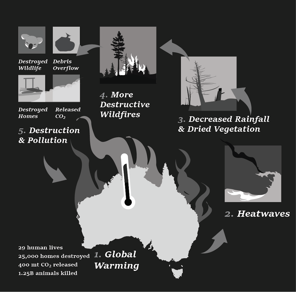 The effects of global warming have created destructive wild fires throughout Australia, disrupting ecosystems and increasing pollution. Statistics are from the Atmosphere Monitoring Service.&nbsp;