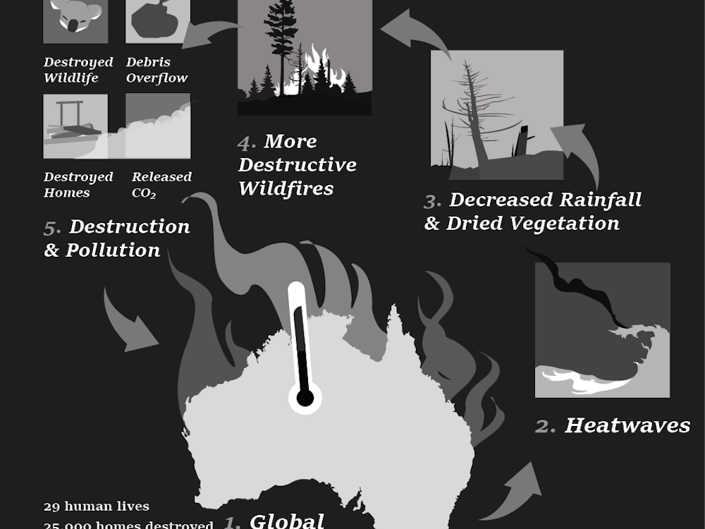 The effects of global warming have created destructive wild fires throughout Australia, disrupting ecosystems and increasing pollution. Statistics are from the Atmosphere Monitoring Service. 