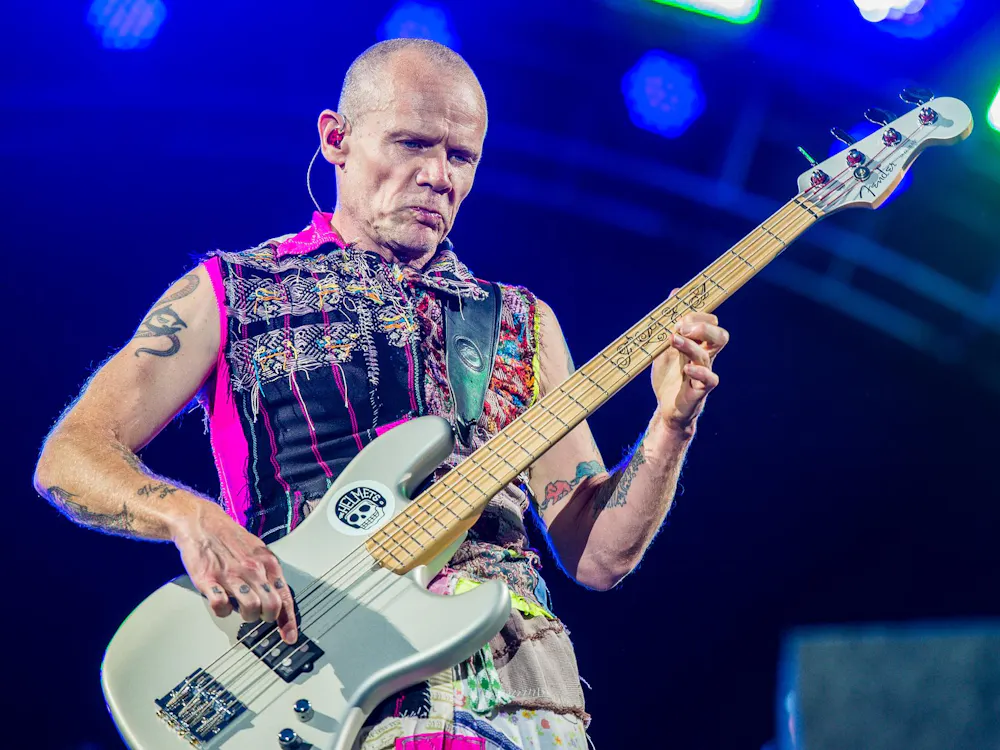 Flea gained fame as the bassist in the iconic Red Hot Chili Peppers, attracting notoriety for his signature slap-bass technique