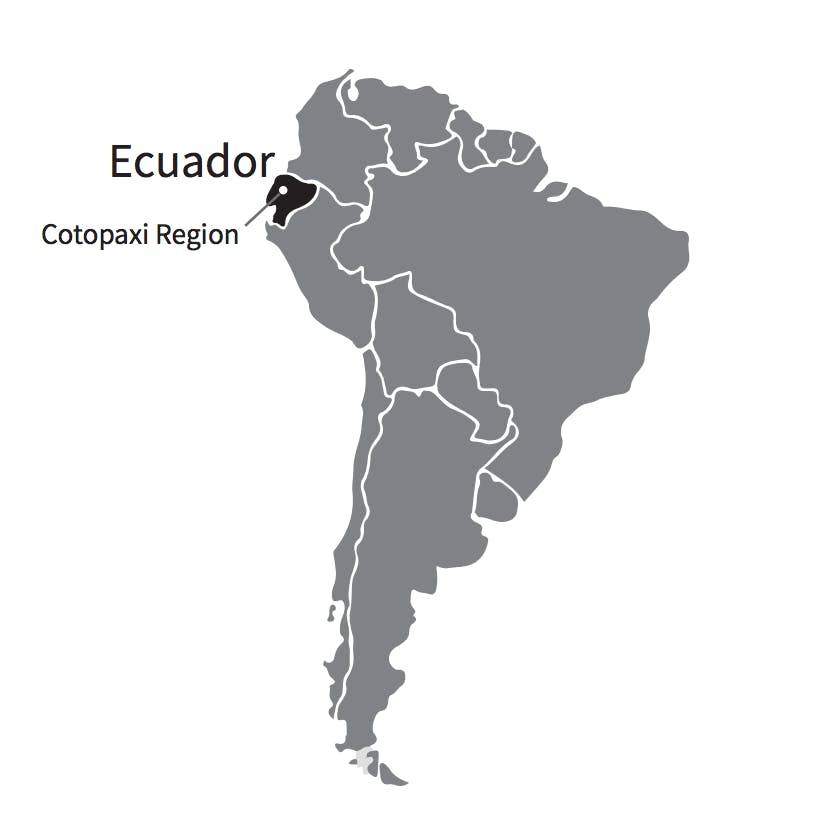 The Lulun Project, which fed infants eggs as opposed to solely breast milk, was carried out in a region of Ecuador called Cotopaxi, which has high levels of stunting.