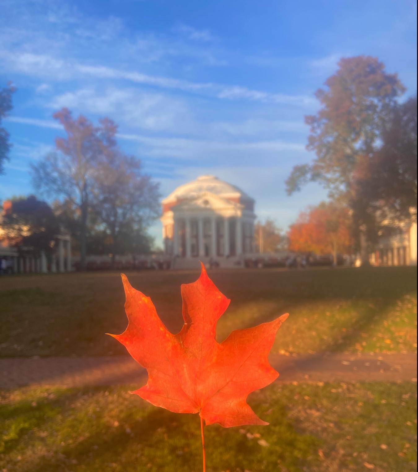 Fall is one of the most beautiful seasons at U.Va. From the vibrant red and yellow leaves on the lawn to the crisp autumn air across grounds, autumn at the University is a beautiful sight.