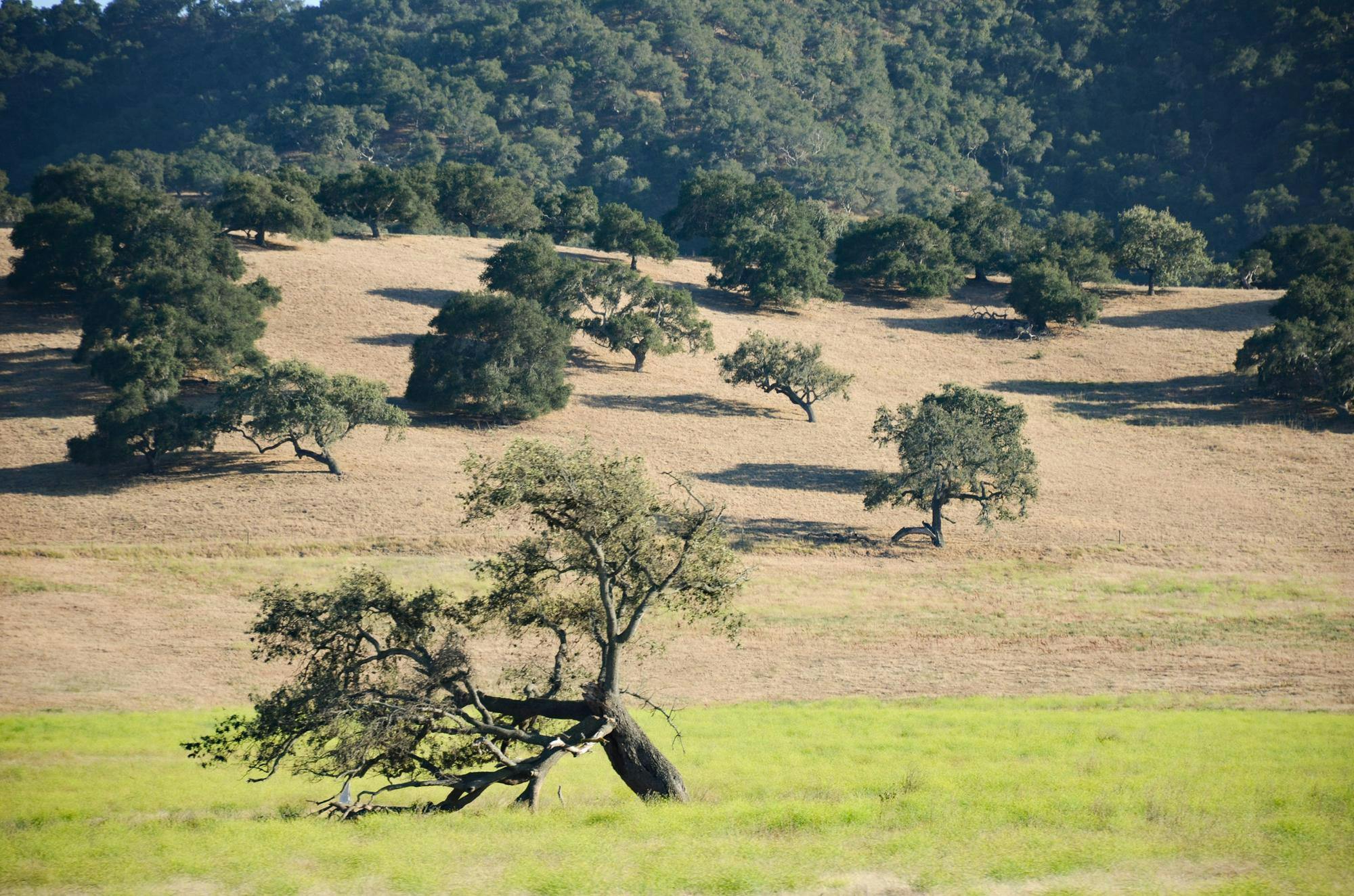 dsc-8376-2