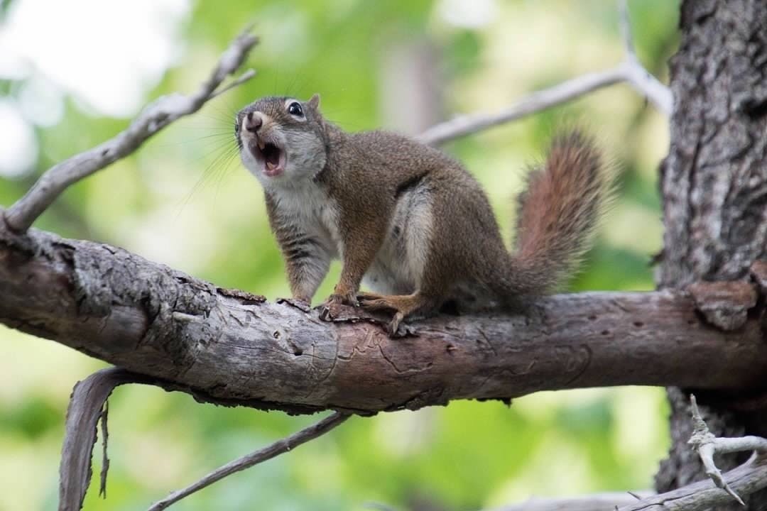 They say you learn from your surroundings, so let’s take that literally
