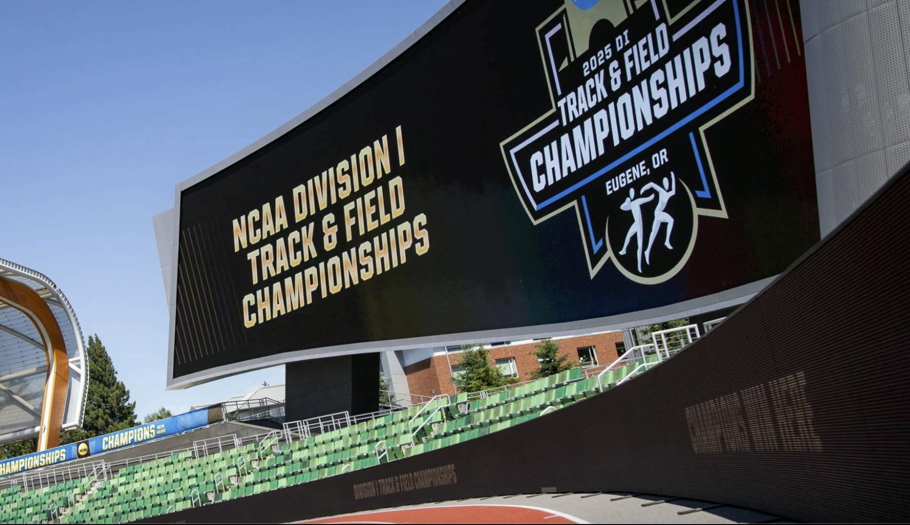 Virginia has entries all across the field.