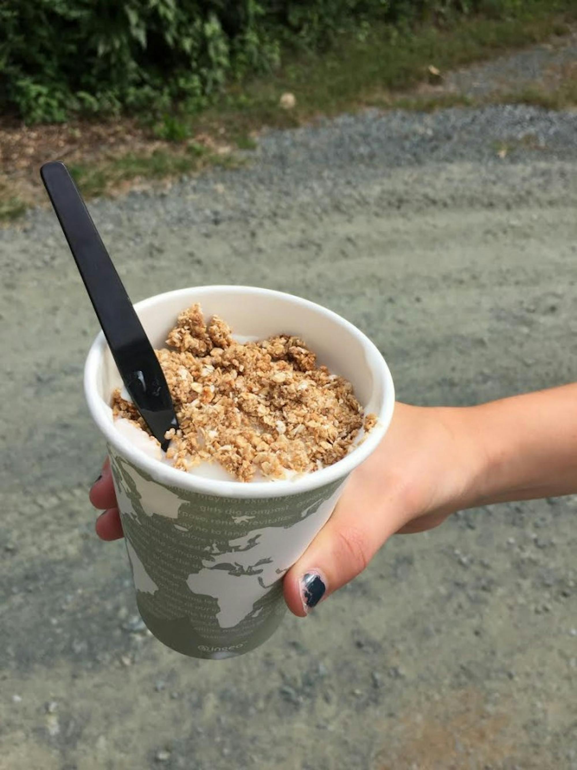 lf-granola-mshinton