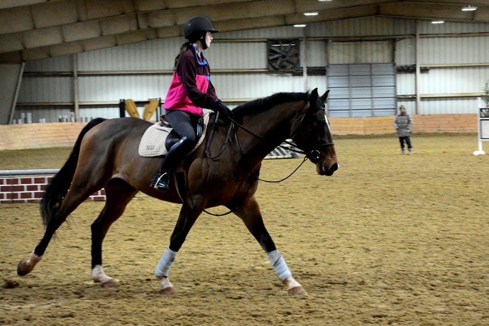 <p>The Virginia Riding Team is a club sports team open to University students of all years with an interest in riding horses.&nbsp;</p>
