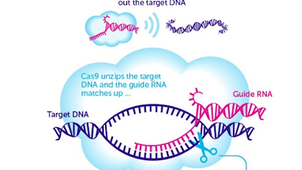CRISPR technology allows for gene editing.