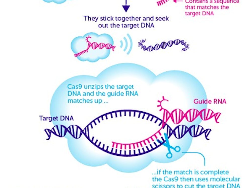 CRISPR technology allows for gene editing.