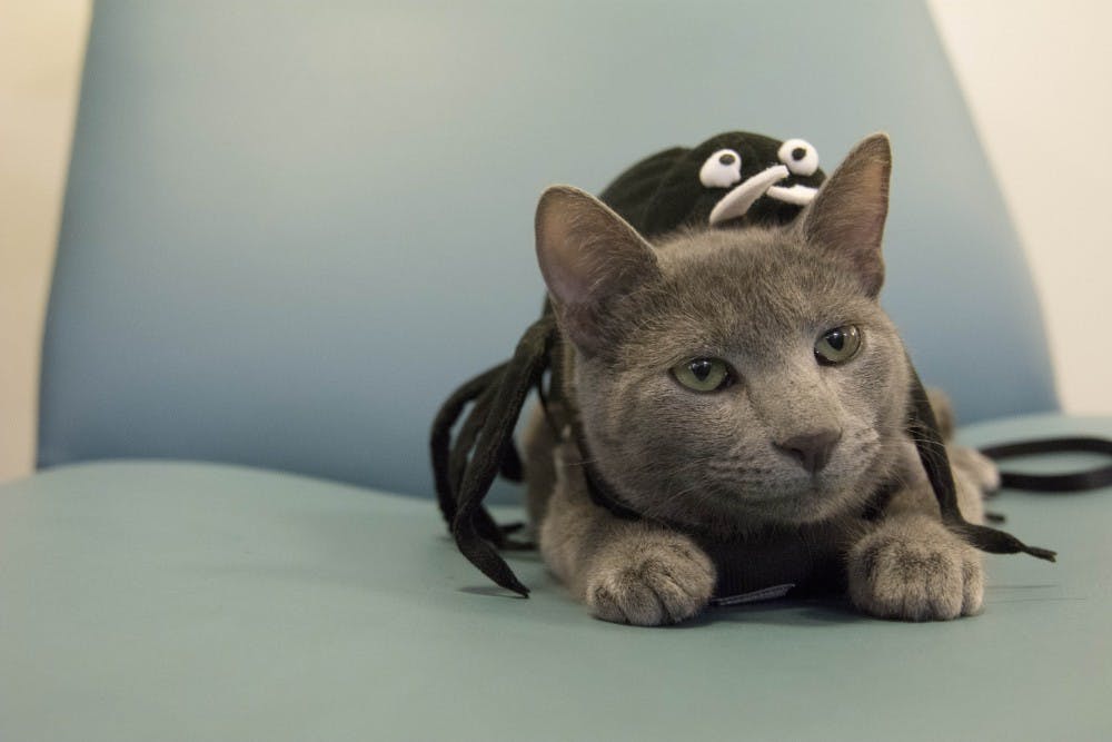 How do you expect to get in the Halloween spirit if you don’t create a spooky atmosphere?