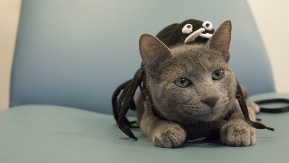 How do you expect to get in the Halloween spirit if you don’t create a spooky atmosphere?