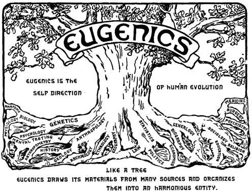 Historically, eugenic theory focuses on inferiorities based on race, class and disability.