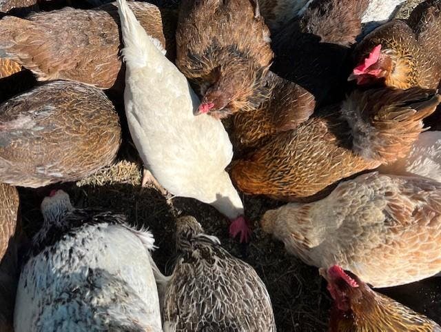 Though I was initially skeptical — and perhaps a bit ashamed — of my less-impressive situation, I’ve found that “silly” summer jobs can have their own crucial value, too