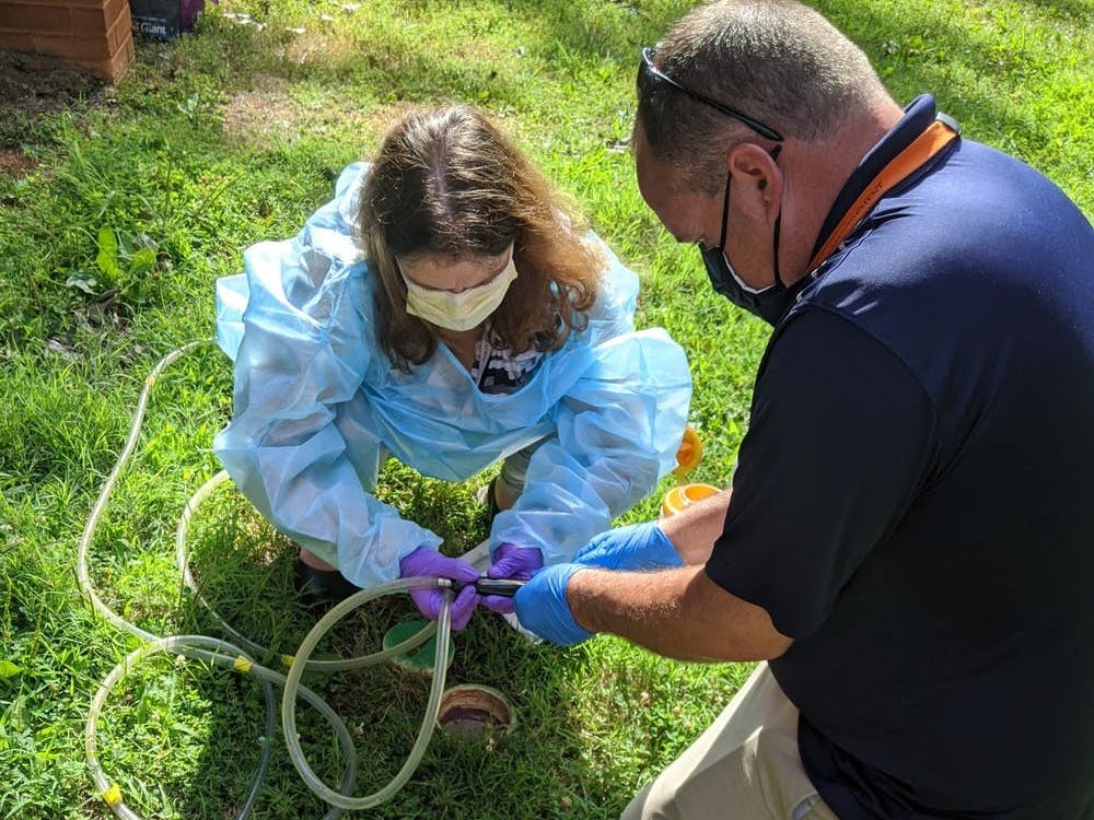 Maybe the pandemic isn’t so bad after all!