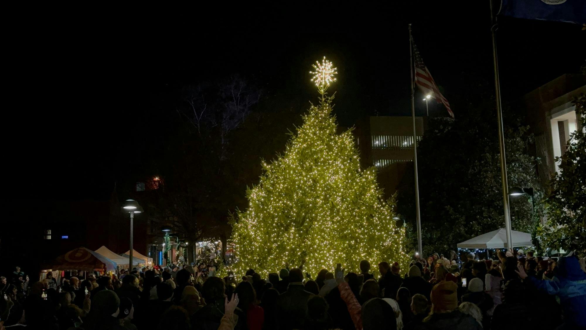 As the night progressed to its culminating point, a collective countdown to the tree lighting echoed through the venue.