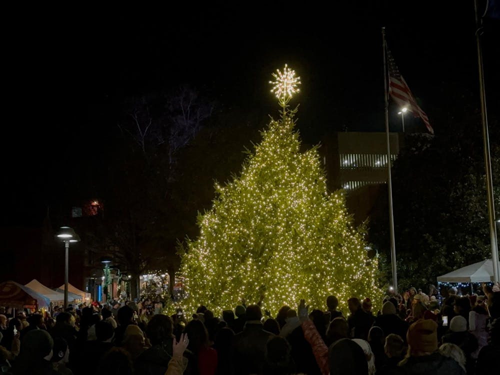 As the night progressed to its culminating point, a collective countdown to the tree lighting echoed through the venue.
