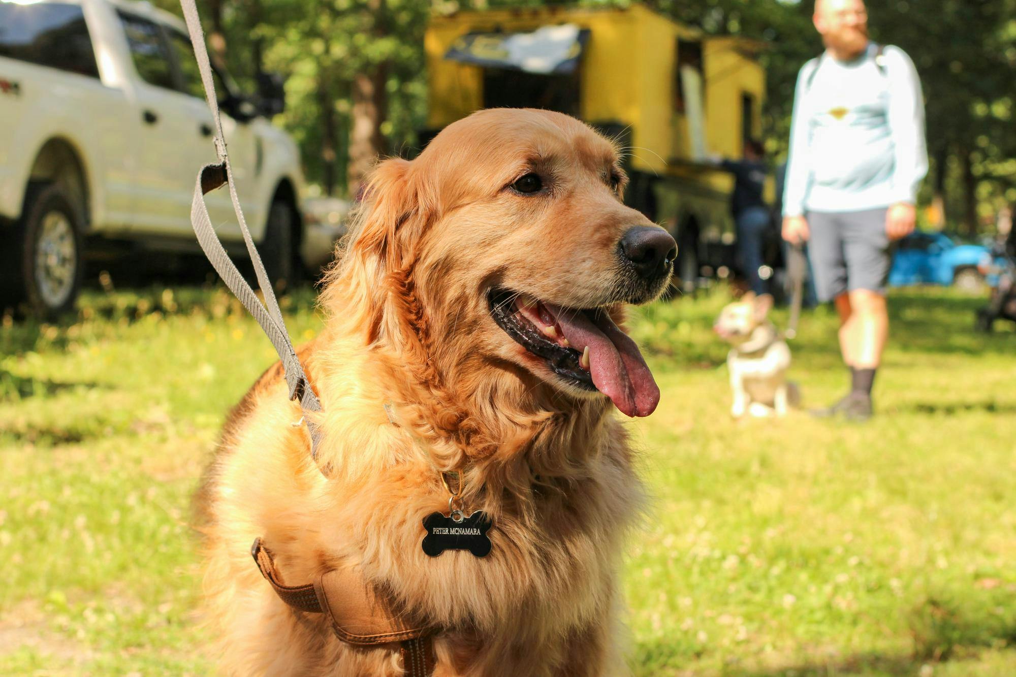 Editor’s Note: This gallery is part of a summer series from The Cavalier Daily photo desk staff. Over the course of the summer, photo staffers will craft galleries which capture moments from different places in Charlottesville and beyond. Launch the gallery to view dogs spotted May 24, 2025 at the Richmond, Virginia farmer's market, also known as the RVA Big Market. The BIG Market is Richmond’s largest outdoor market, featuring local vendors, produce and community members — as well as these furry companions.&nbsp;