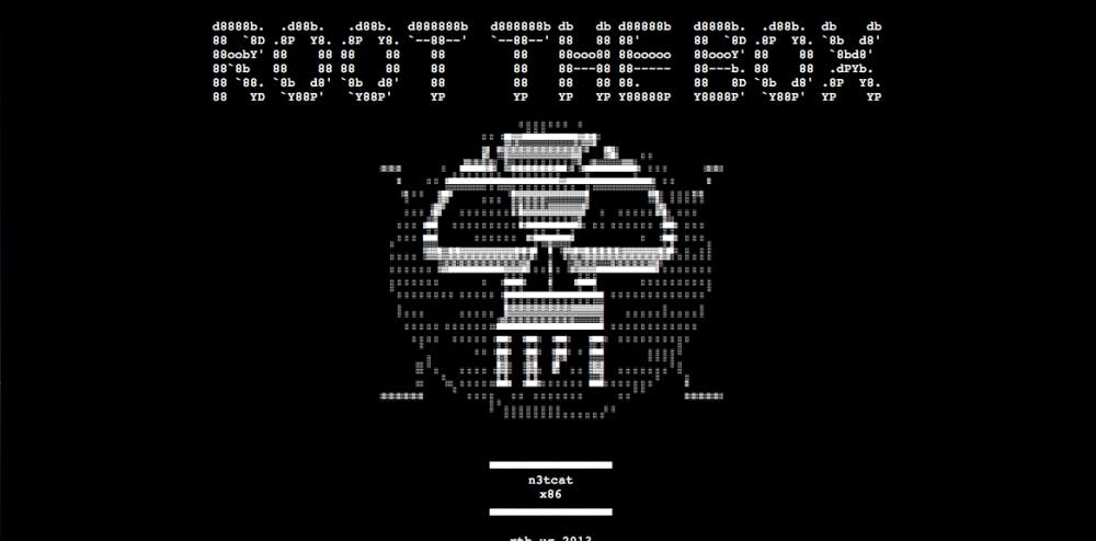 	<p>An anonymous hacker under the name “Root the Box” caused the University’s main webpage to redirect to a picture of the group’s logo, a pixelated white skull on a black background, before going to the @R00tTh3B0x twitter feed Monday night.</p>