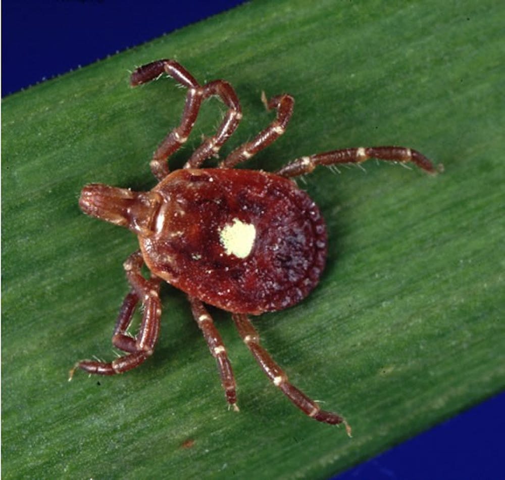 <p>A bite from a lone star tick can induce red meat sensitivity due the development of an allergy to the α-Gal carbohydrate found in the tick.</p>