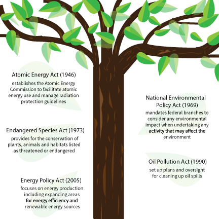 Since the early 1960s, U.S. policy has been created in reaction to public outrage over various issues affecting the environment.