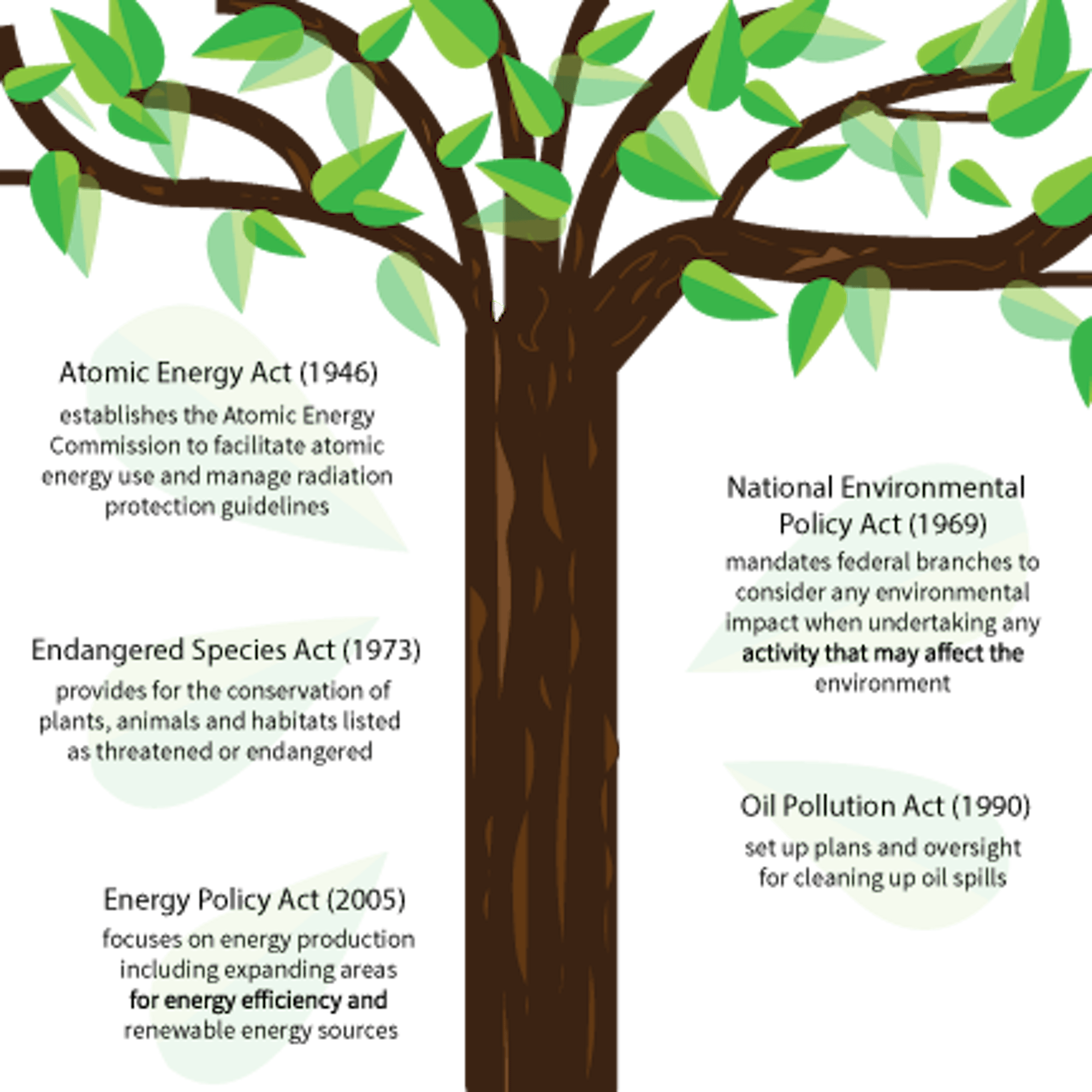 hs_treetimeline_xdavies