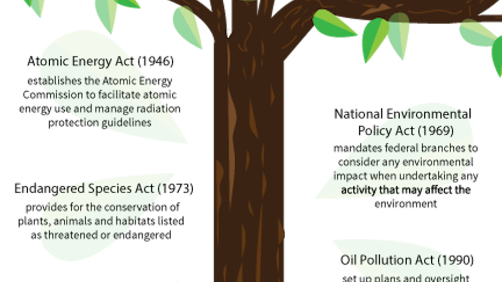 Since the early 1960s, U.S. policy has been created in reaction to public outrage over various issues affecting the environment.