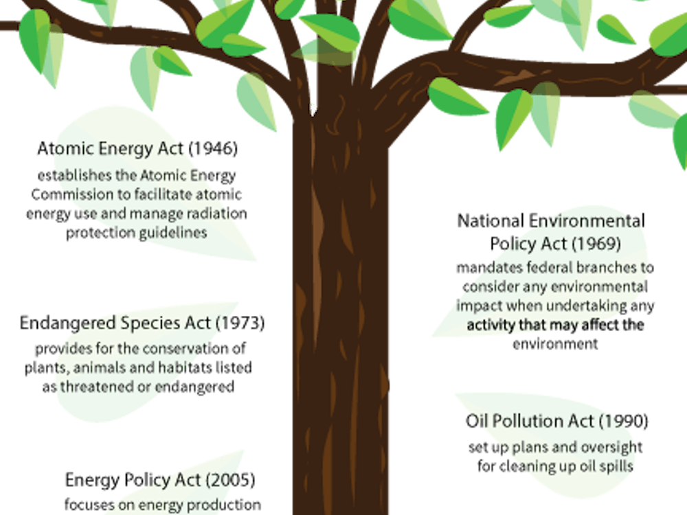 Since the early 1960s, U.S. policy has been created in reaction to public outrage over various issues affecting the environment.