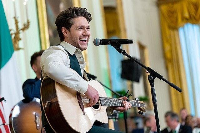 The album overall sees Horan moving into a more vintage pop/rock sound.&nbsp;