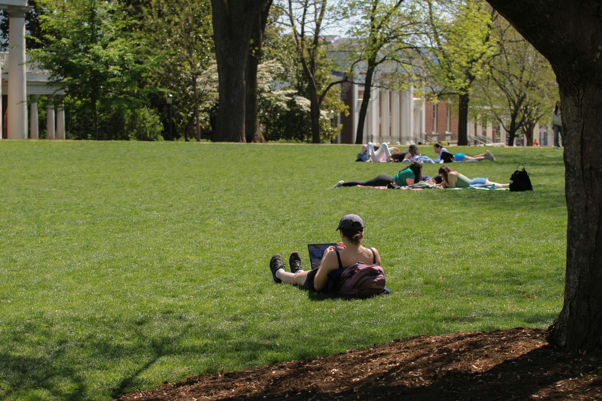 Students studying on The Lawn, photographed April 14, 2025. 