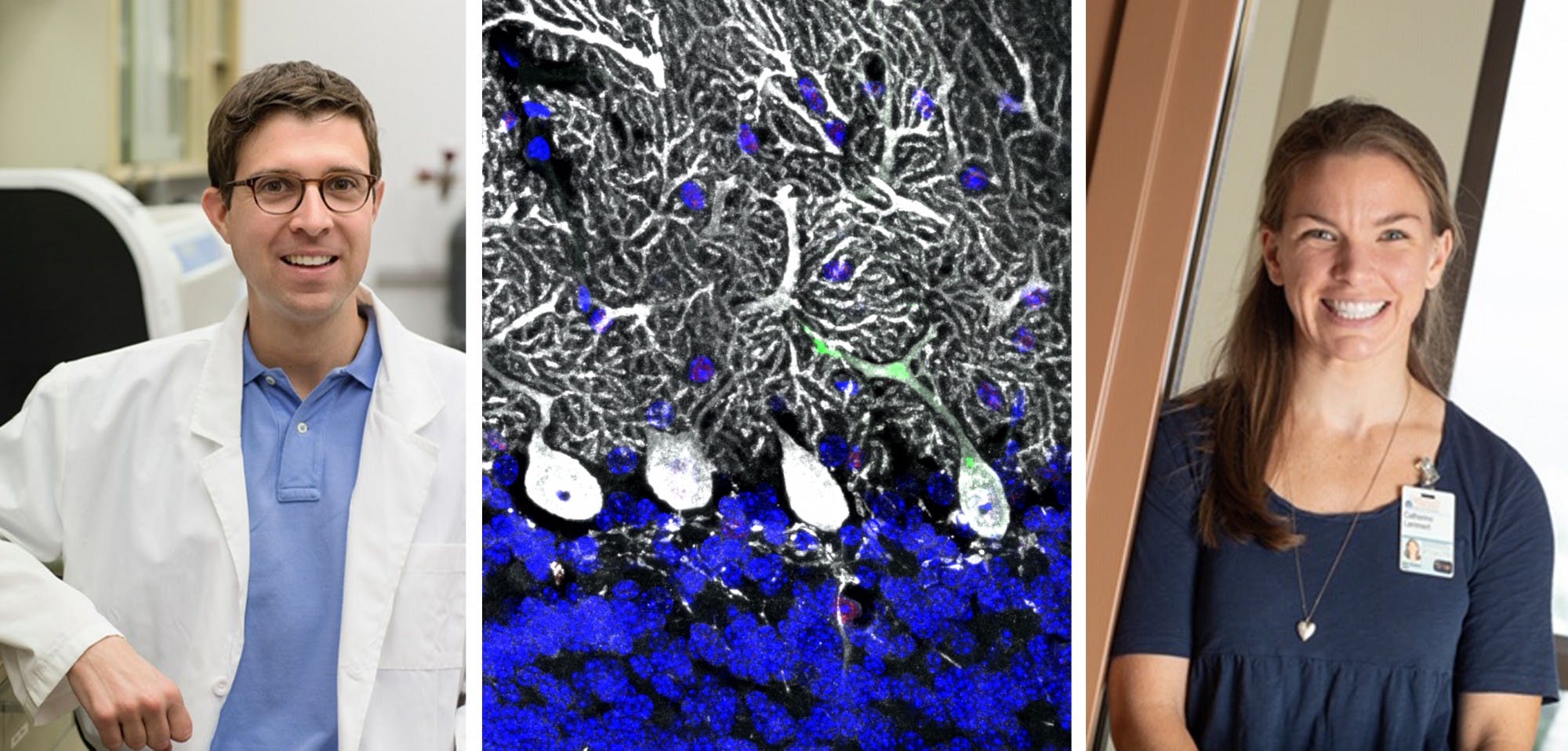 The John Lukens Lab is a part of the University's neuroscience department and studies immunological pathways and the development of neurodegenerative, neurodevelopmental, mental and behavioral disorders.