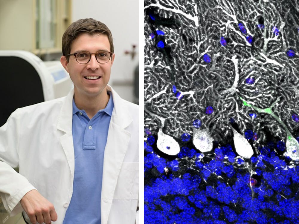 The John Lukens Lab is a part of the University's neuroscience department and studies immunological pathways and the development of neurodegenerative, neurodevelopmental, mental and behavioral disorders.