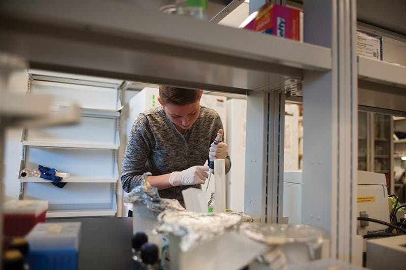 The VPR is responsible for the “integration and enhancement of research activities” across University schools and research centers, according to the VPR Office website.