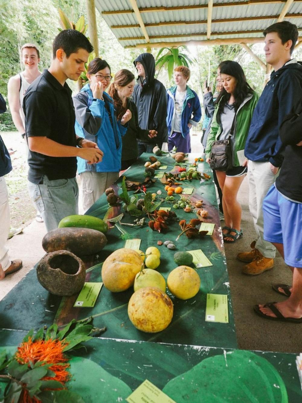 <p>Students traveled to Costa Rica to&nbsp;learn about ecotourism as part of a semester-long course on sustainability.</p>