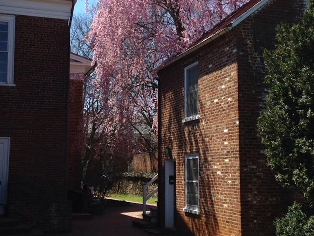 I am a professor of German Studies at this University, as well as the granddaughter of Eastern European Jewish immigrants.