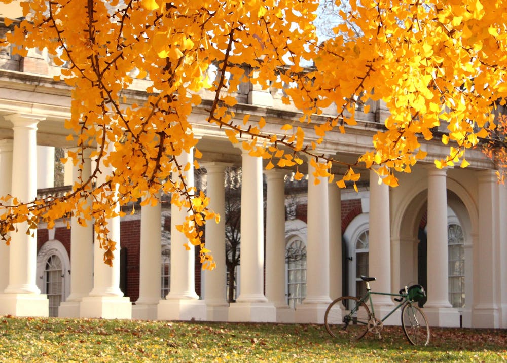 ginkgo2-katiehall-111925